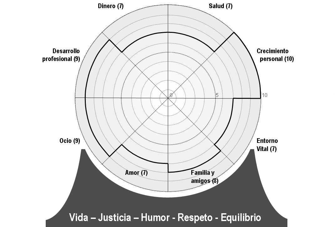 Ejemplo de Valores cimentando la Rueda de la Vida